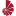 16 px favicon